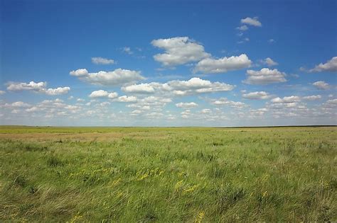 1. Grasslands: