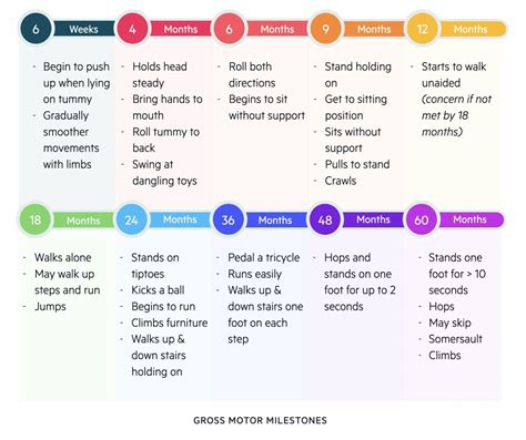 1. Gross Motor Skills (ages 0-6)