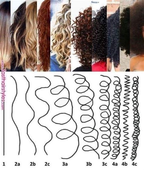 1. Hair Texture and Curl Pattern: