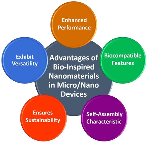 1. Hair-Inspired Nanomaterials for Medical Diagnostics: