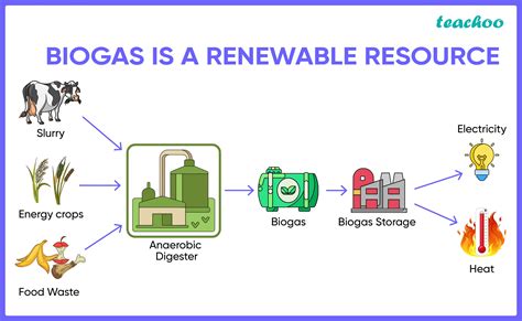 1. Harnessing Biogas for Energy Production