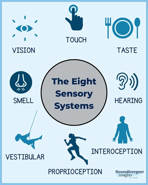 1. Heightened Sensory Experiences