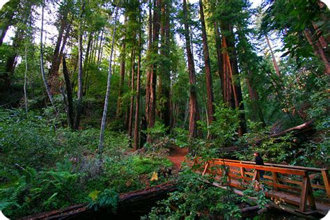 1. Hike to Pfeiffer Falls Trailhead (1.5 miles)