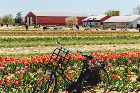 1. Holland Ridge Farms (Cream Ridge)