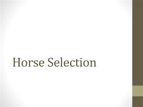 1. Horse Selection: