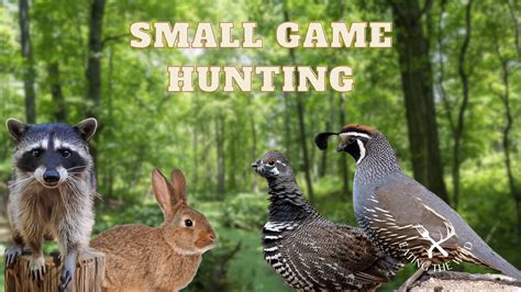 1. Hunting Small Game with Explosive Precision