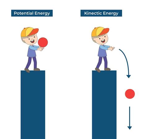 1. Identifying Potential and Kinetic Energy