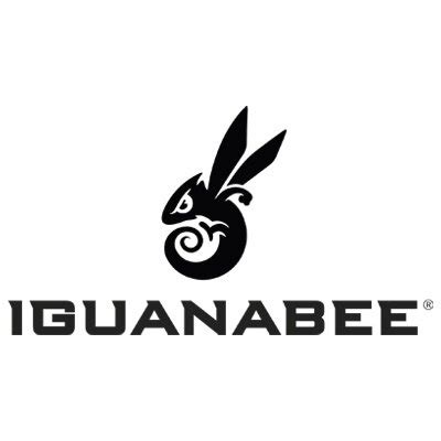 1. Iguanabee Studios: A Global Powerhouse