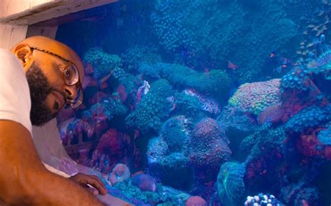 1. Immerse in Marine Marvels at SEA AQUARIUM