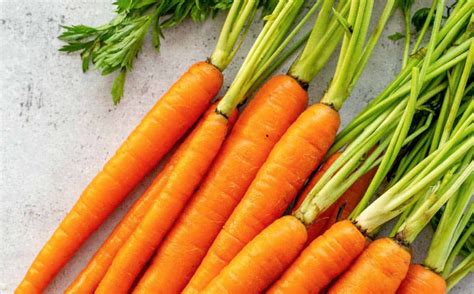 1. Importance of Fertilization for Carrots