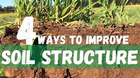 1. Improve Soil Structure