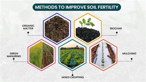 1. Improved Fertilizer Quality: