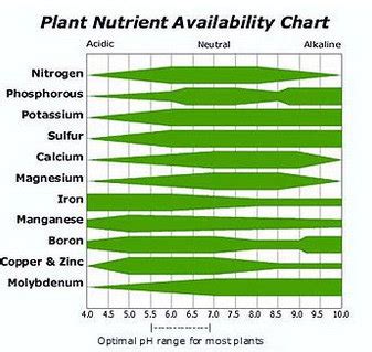 1. Improved Nutrient Availability: