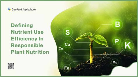 1. Improved Nutrient Efficiency: