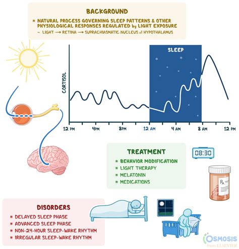 1. Improved Sleep and Circadian Rhythm: