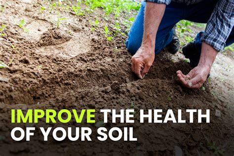 1. Improved Soil Health: