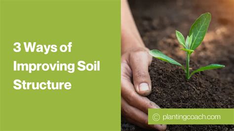 1. Improved Soil Structure: