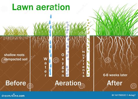 1. Increased Aeration: