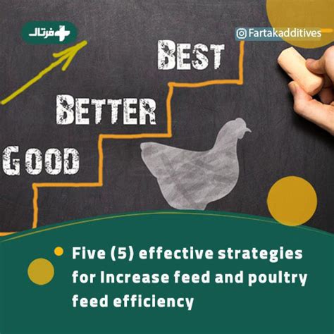 1. Increased Feed Efficiency: