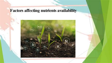 1. Increased Nutrient Availability: