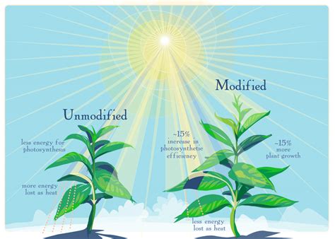 1. Increased plant growth and yield