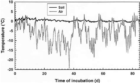 1. Incubation (Winter)