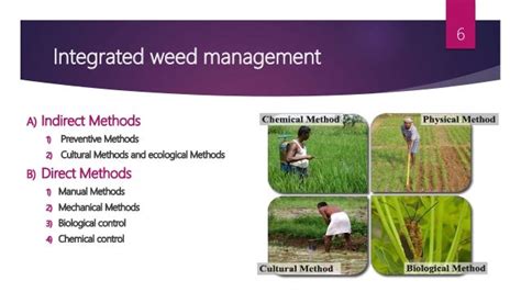 1. Integrated Weed Management (IWM)