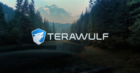 1. Introduction: Terawulf - A Rising Star in the Blockchain Industry