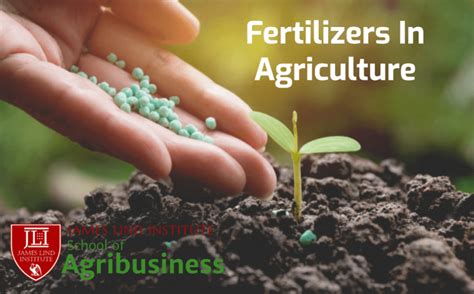 1. Introduction: The Essential Role of Fertilizer 1