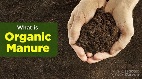 1. Introduction: The Importance of Manure Management