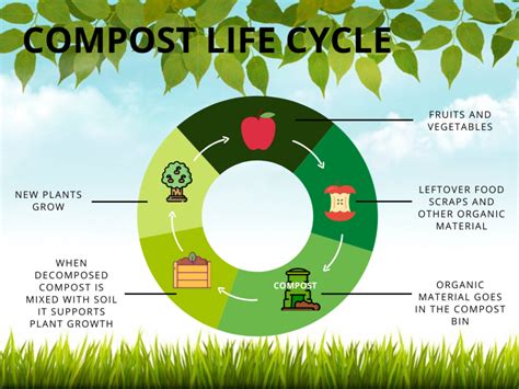 1. Introduction: The Need for Compost