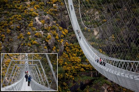 1. It's the World's Largest Pedestrian Bridge