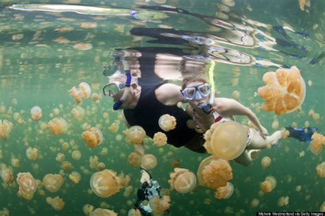 1. Jellyfish Lake: A Marine Sanctuary Like No Other