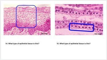 1. Lab Practical: