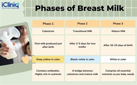 1. Lactation and Breastfeeding: