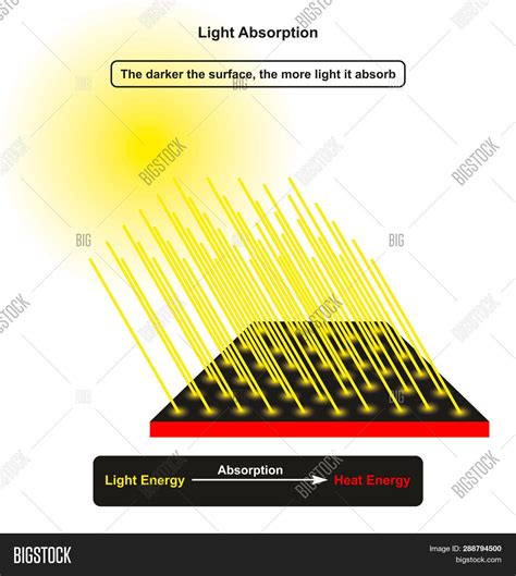 1. Light Absorption: