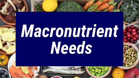 1. Macronutrient Needs of Lilacs