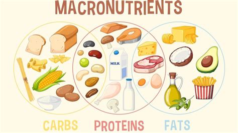 1. Macronutrient Requirements: