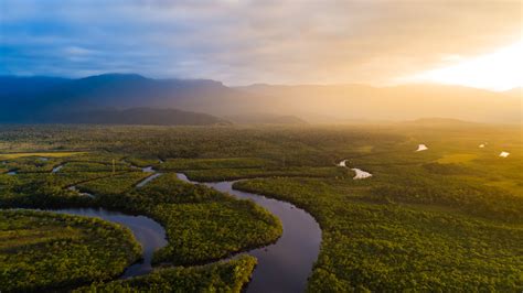 1. Maior floresta tropical do mundo