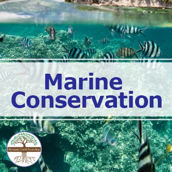 1. Marine Conservation: