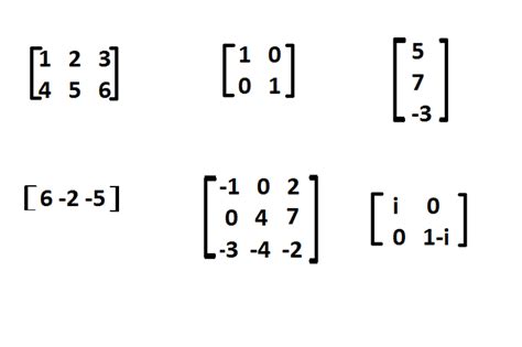 1. Matrix Basics: Unlocking the Fundamentals