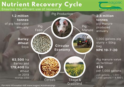 1. Maximize Nutrient Recovery