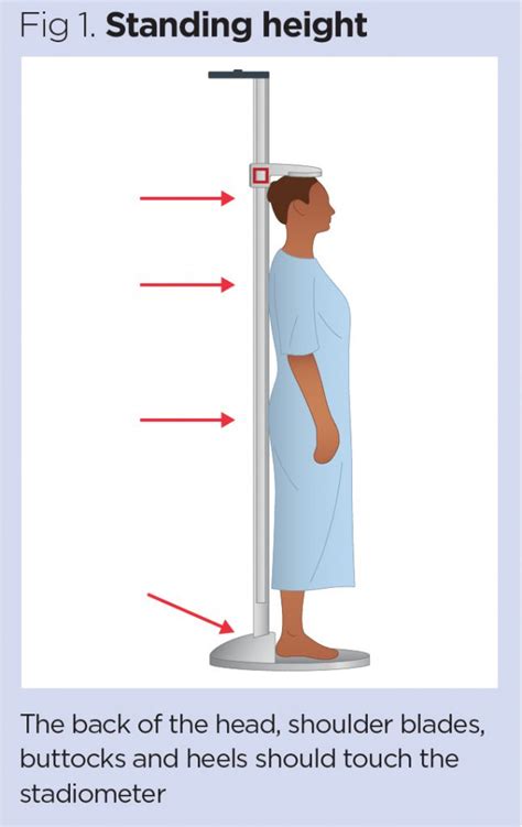 1. Measuring the User's Height: