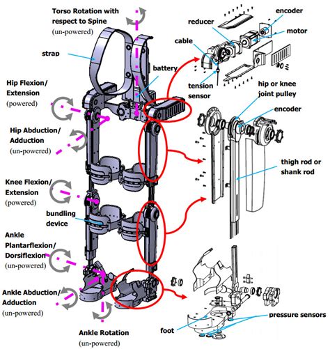 1. Mechanical Structure: The Robotic Exoskeleton