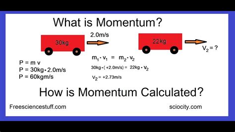 1. Momentum and Velocity: