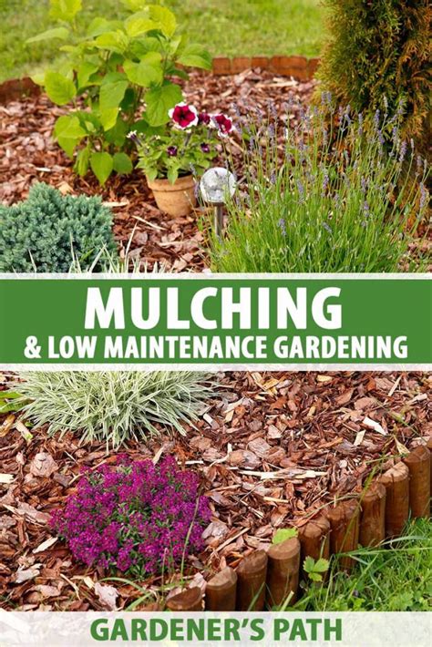 1. Mow High, Mulch Low