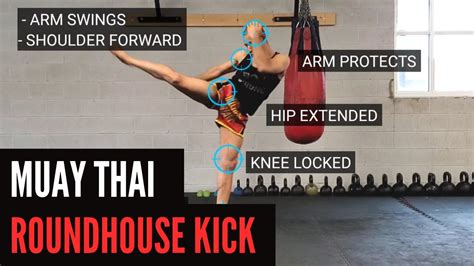 1. Muay Thai's Roundhouse Kick: