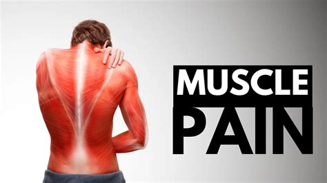 1. Muscle Pain