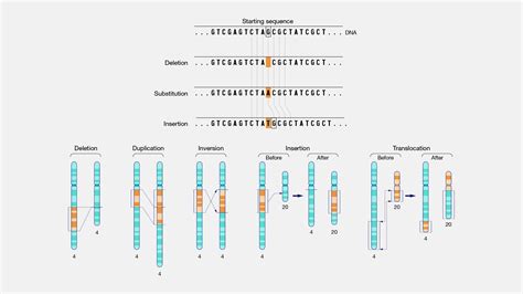 1. Mutant DNA Database: