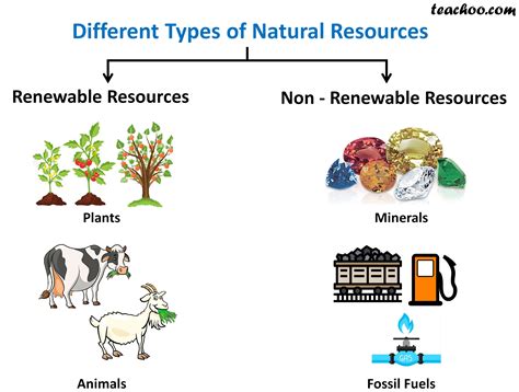 1. Natural Resources: